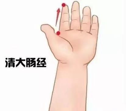 清大腸經(jīng).png